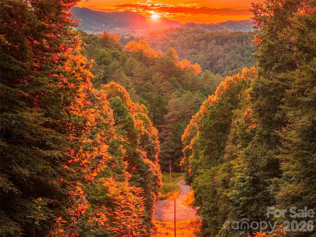 000 Hamlet Drive Burnsville NC 28714
