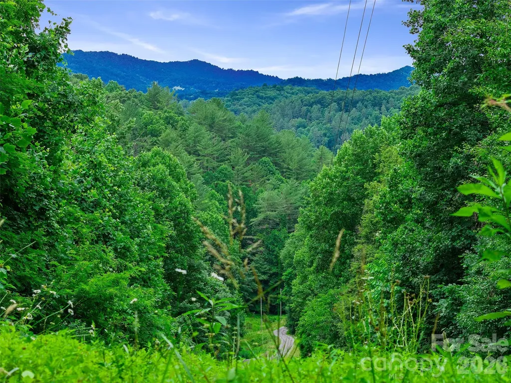 000 Hamlet Drive Burnsville NC 28714