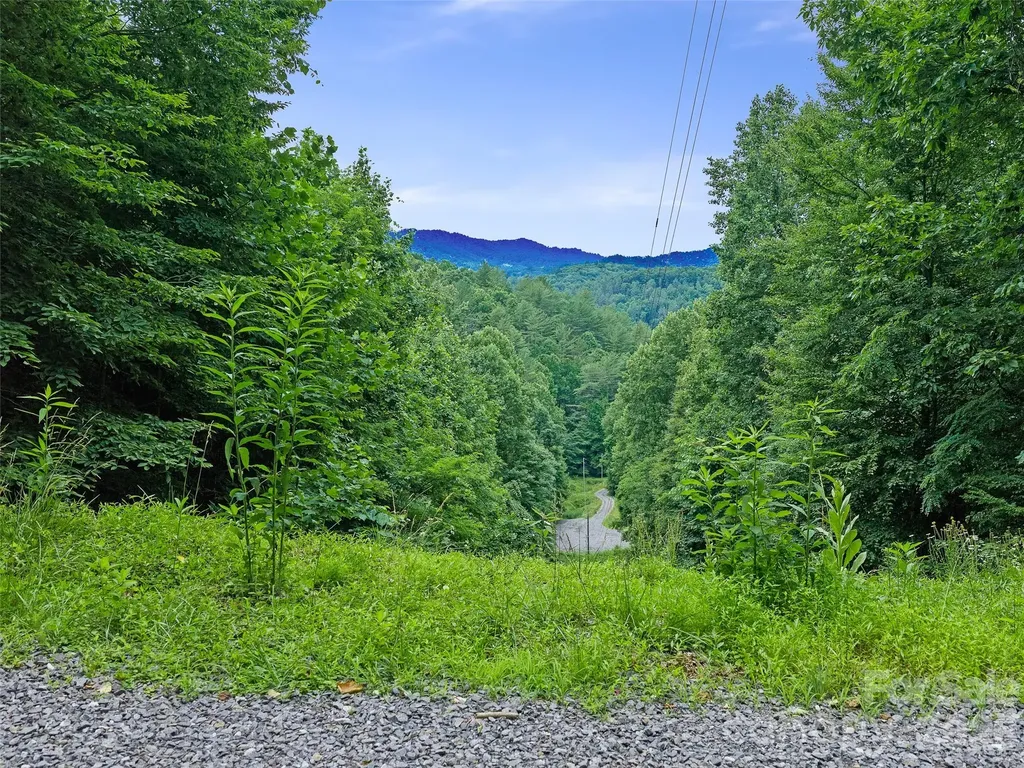000 Hamlet Drive Burnsville NC 28714