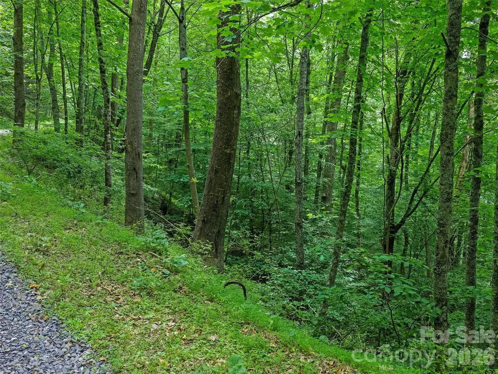 000 Hamlet Drive Burnsville NC 28714