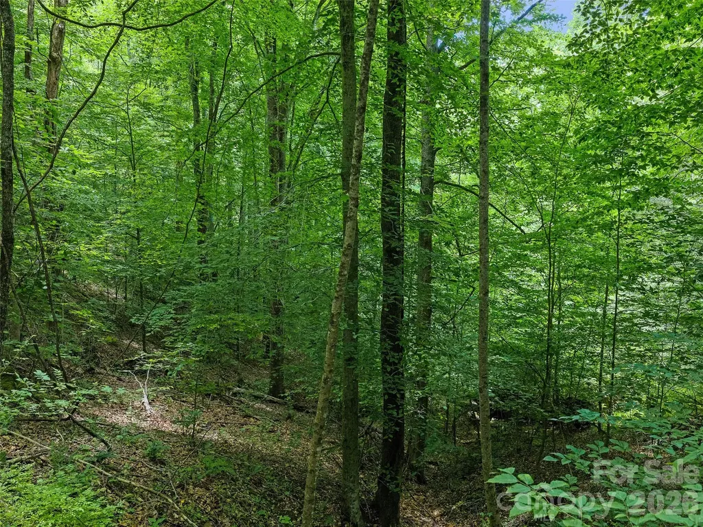 000 Hamlet Drive Burnsville NC 28714
