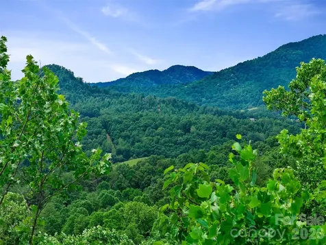 000 Hamlet Drive Burnsville NC 28714