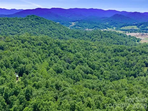 000 Hamlet Drive Burnsville NC 28714