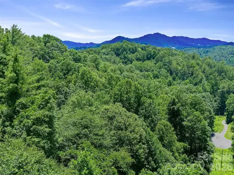 000 Hamlet Drive Burnsville NC 28714
