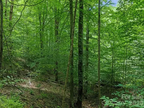 000 Hamlet Drive Burnsville NC 28714