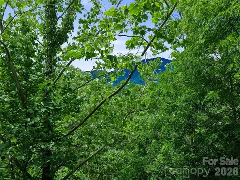 000 Hamlet Drive Burnsville NC 28714