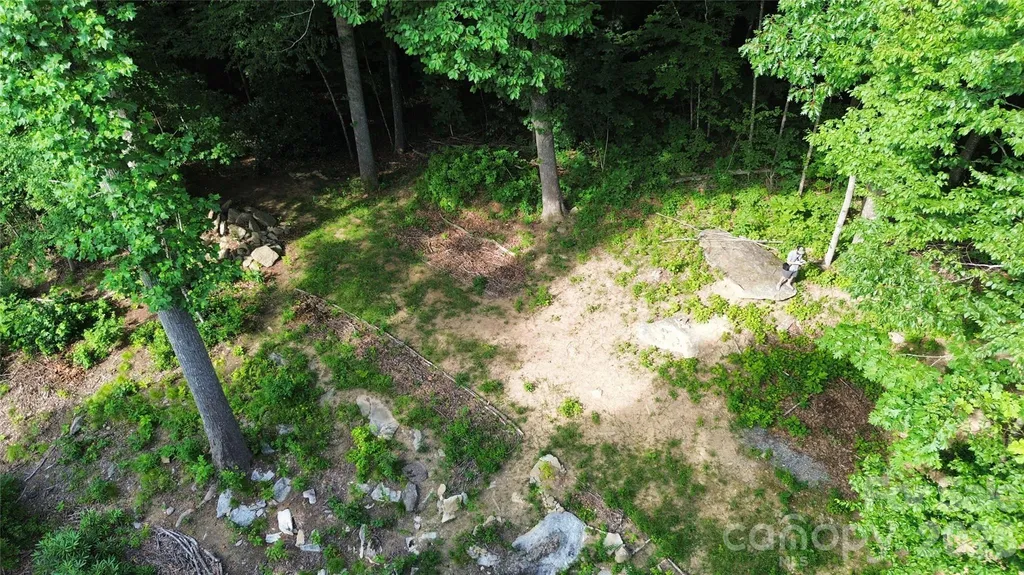 64 Clay View Drive Fairview NC 28730