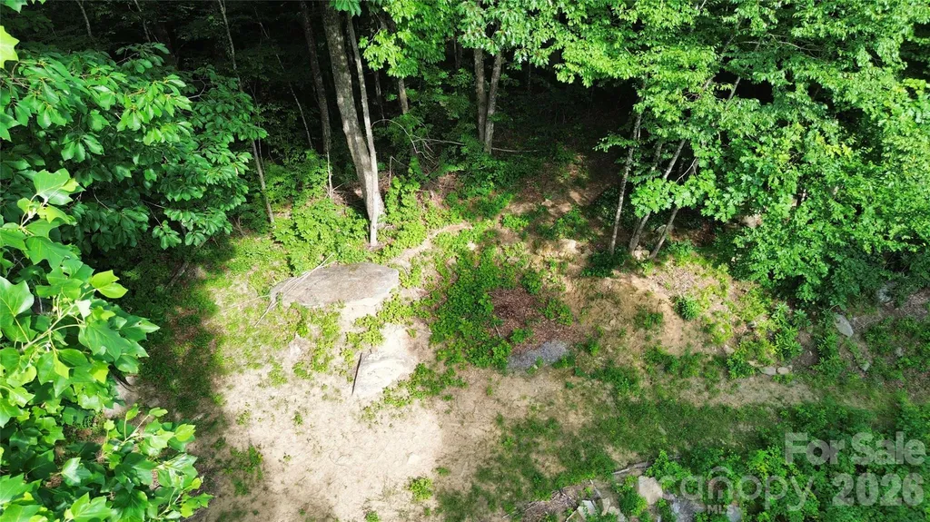 64 Clay View Drive Fairview NC 28730
