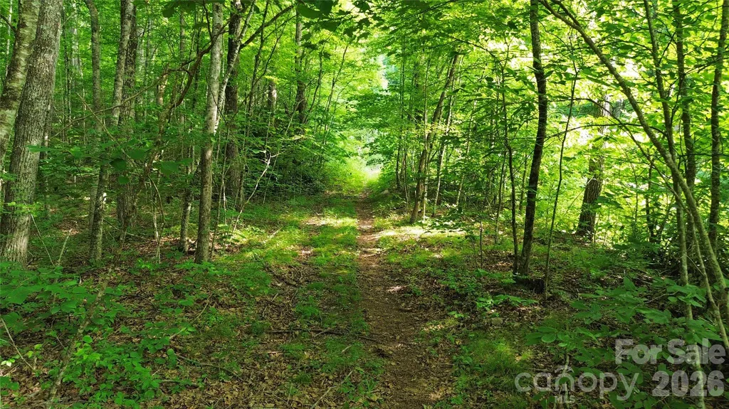64 Clay View Drive Fairview NC 28730