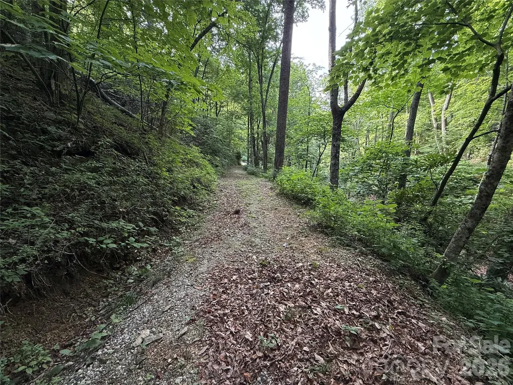 64 Clay View Drive Fairview NC 28730