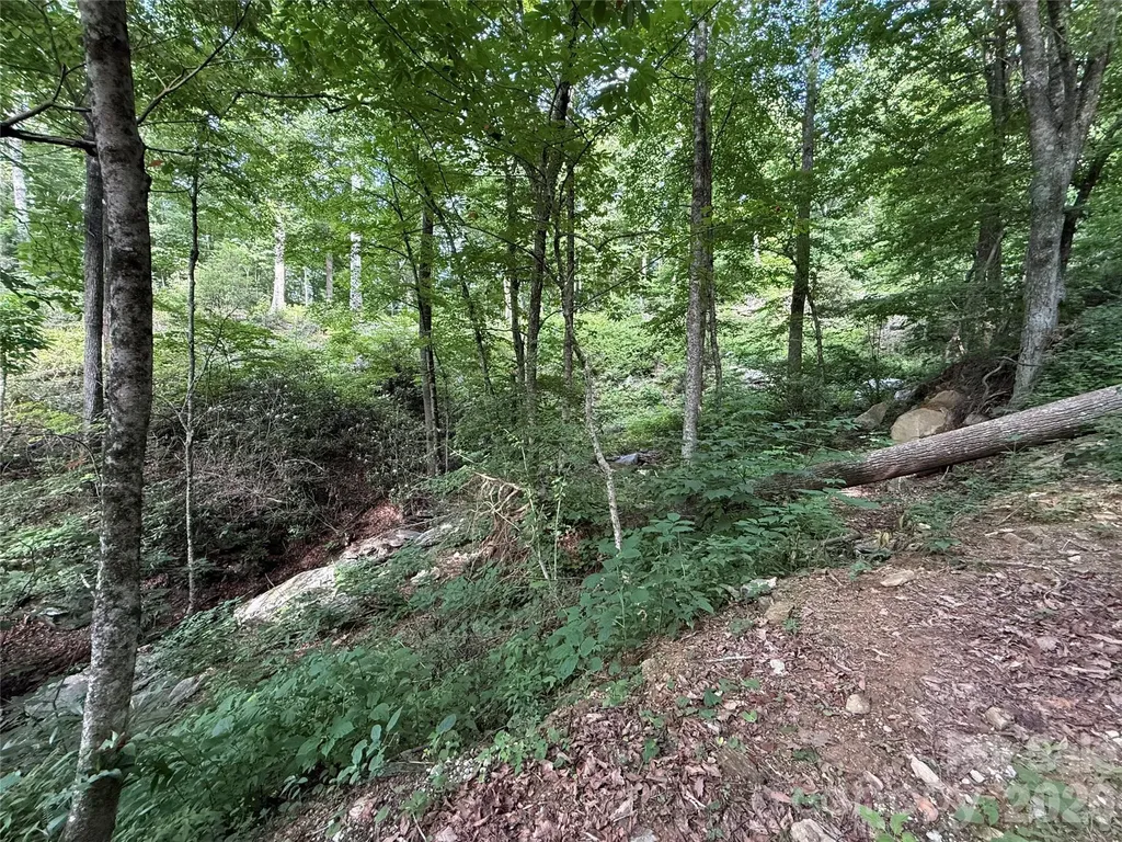 64 Clay View Drive Fairview NC 28730