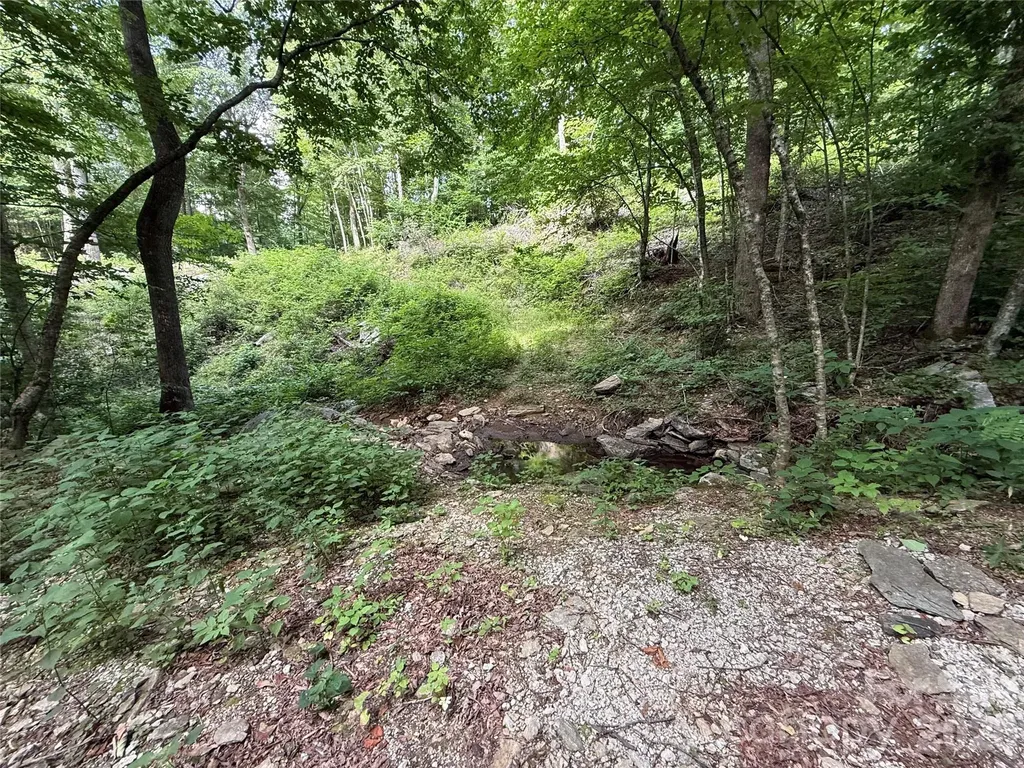 64 Clay View Drive Fairview NC 28730