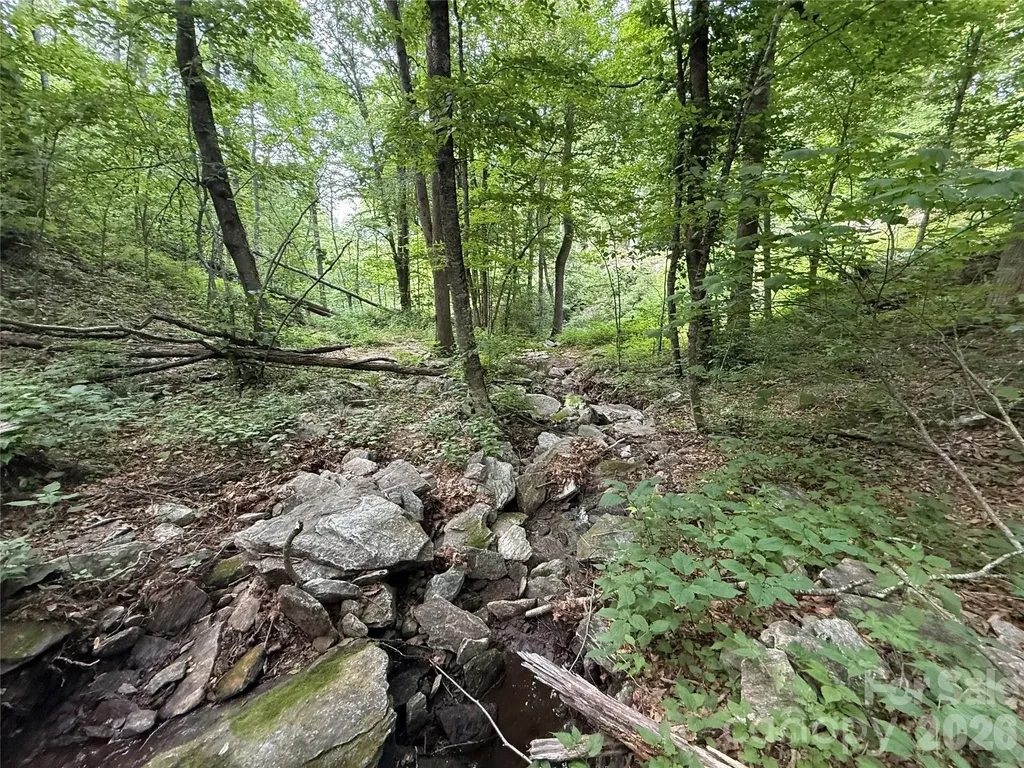 64 Clay View Drive Fairview NC 28730