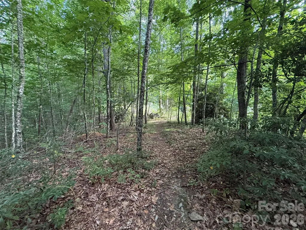 64 Clay View Drive Fairview NC 28730