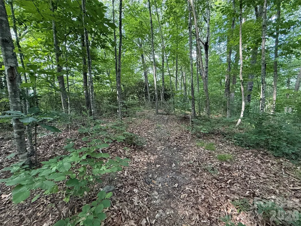 64 Clay View Drive Fairview NC 28730