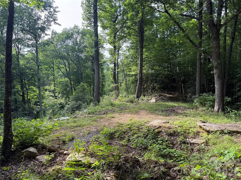 64 Clay View Drive Fairview NC 28730