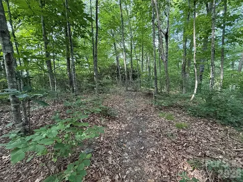 64 Clay View Drive Fairview NC 28730