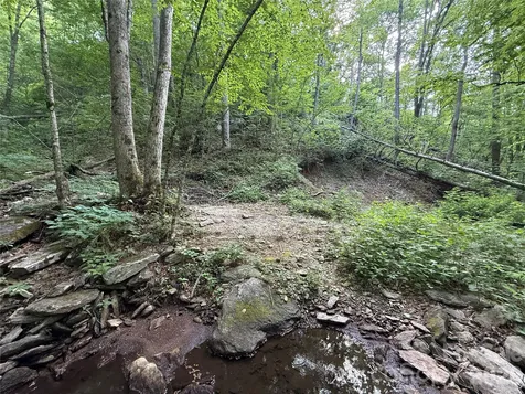64 Clay View Drive Fairview NC 28730