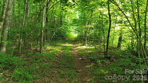 64 Clay View Drive Fairview NC 28730