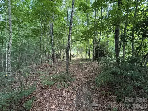 64 Clay View Drive Fairview NC 28730