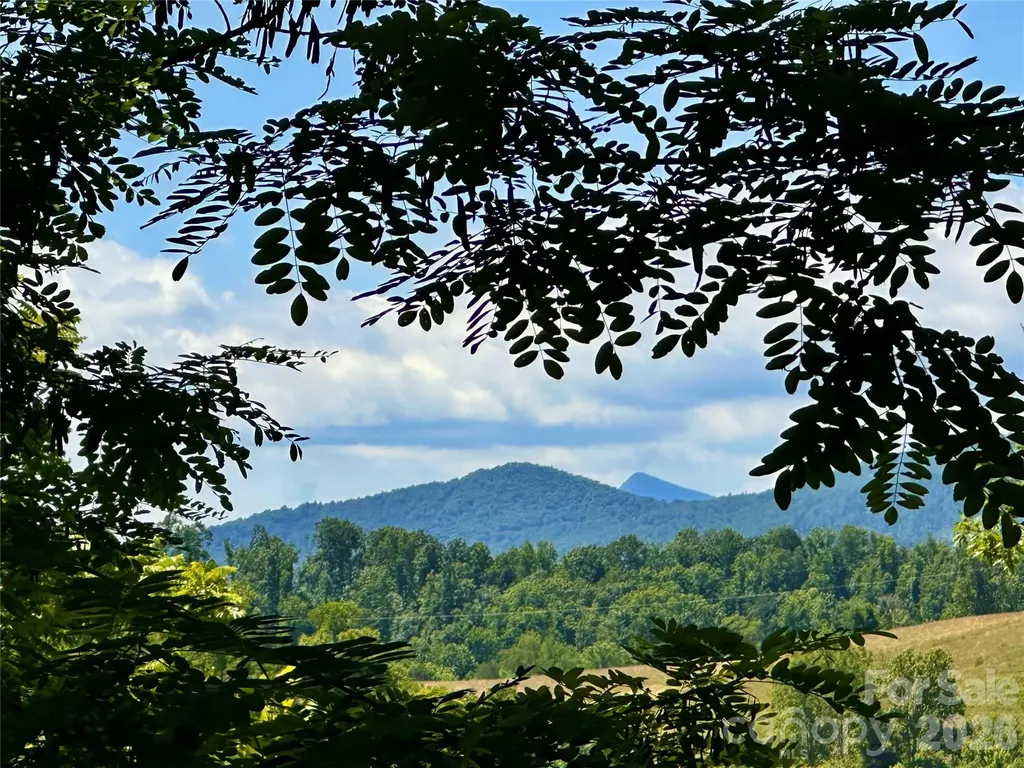 2825 Harrell Hill Road Bakersville NC 28705