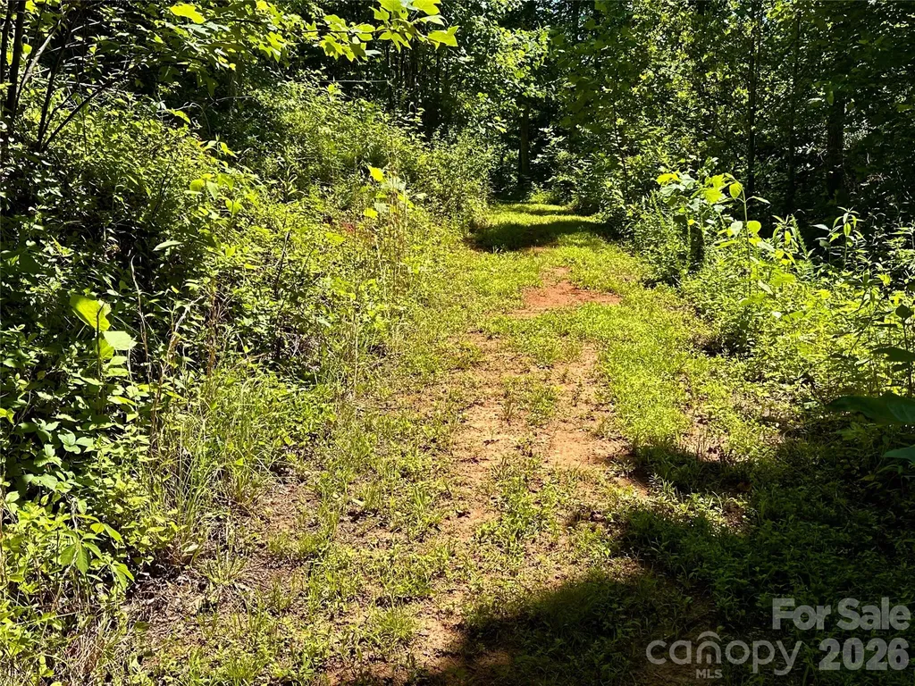 2825 Harrell Hill Road Bakersville NC 28705