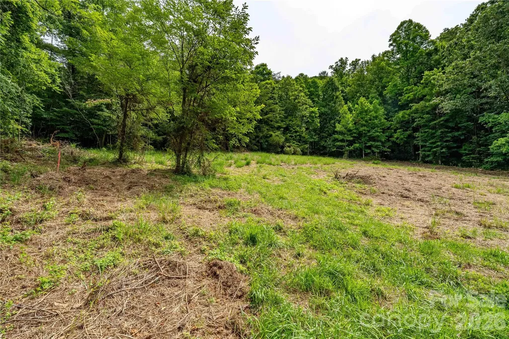 9999 Morgan Branch Road Weaverville NC 28787