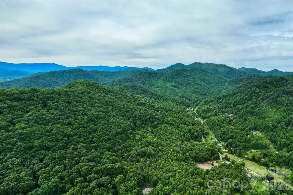 9999 Morgan Branch Road Weaverville NC 28787