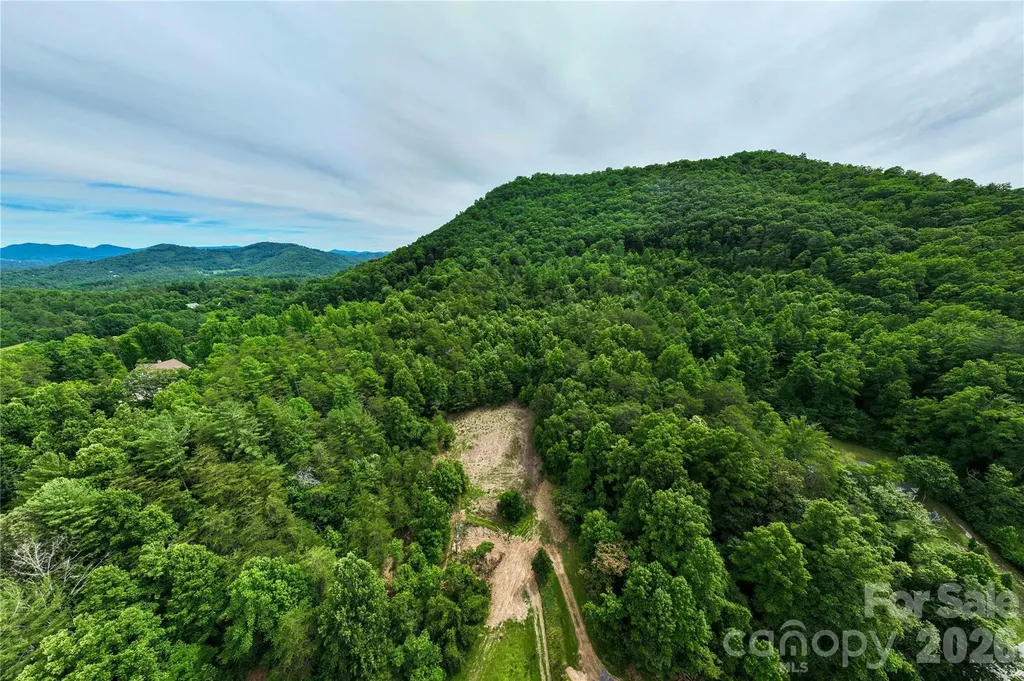 9999 Morgan Branch Road Weaverville NC 28787