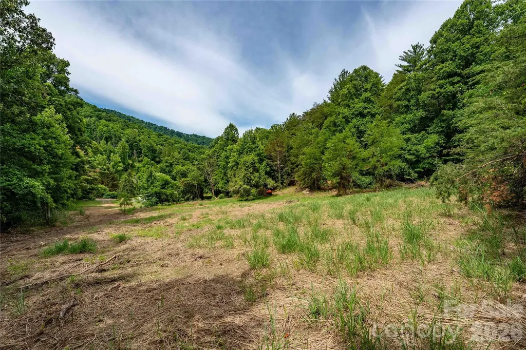 9999 Morgan Branch Road Weaverville NC 28787