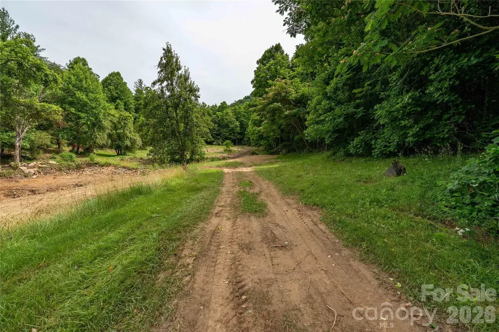 9999 Morgan Branch Road Weaverville NC 28787