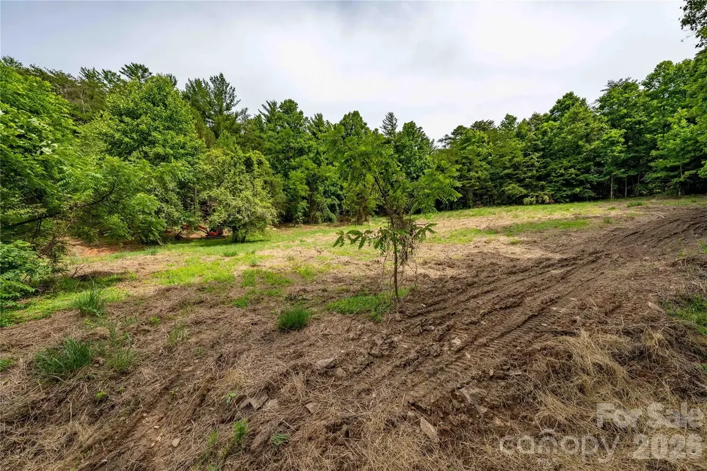 9999 Morgan Branch Road Weaverville NC 28787