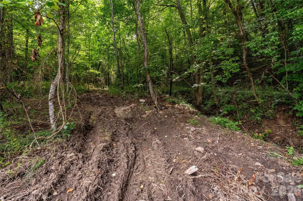 9999 Morgan Branch Road Weaverville NC 28787