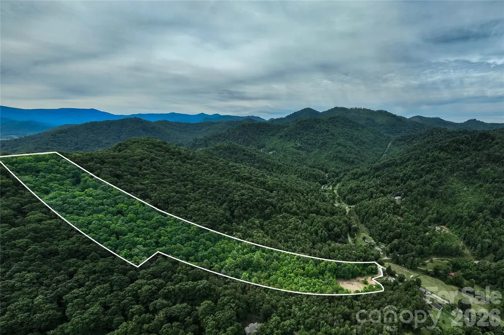 9999 Morgan Branch Road Weaverville NC 28787