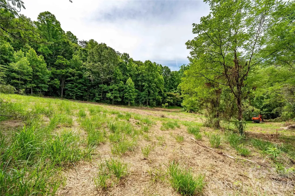 9999 Morgan Branch Road Weaverville NC 28787