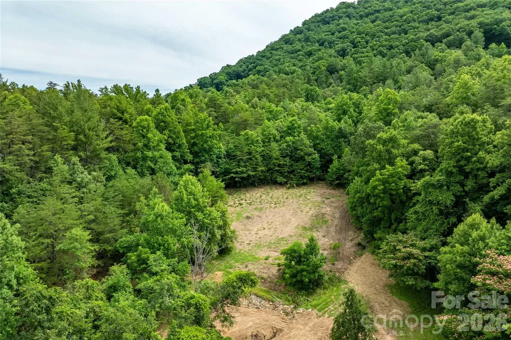 9999 Morgan Branch Road Weaverville NC 28787