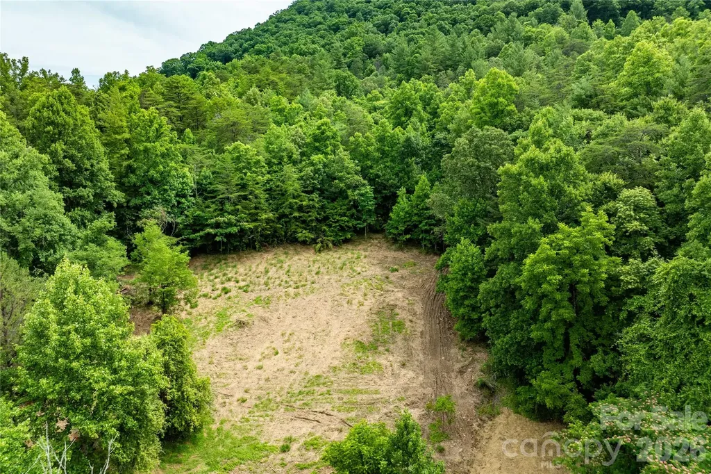 9999 Morgan Branch Road Weaverville NC 28787