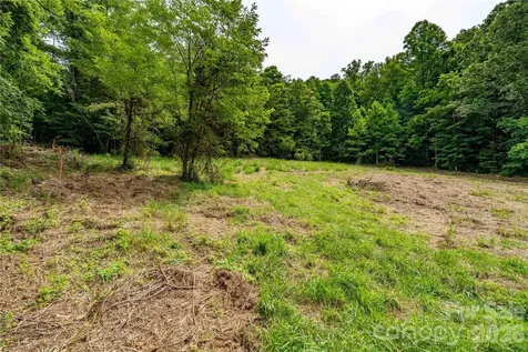 9999 Morgan Branch Road Weaverville NC 28787