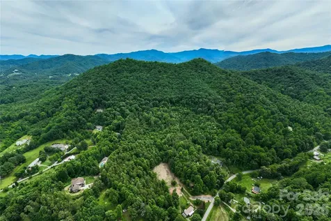 9999 Morgan Branch Road Weaverville NC 28787