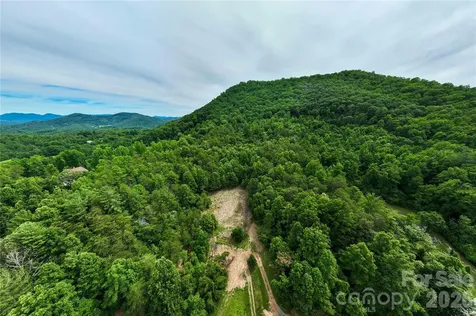 9999 Morgan Branch Road Weaverville NC 28787