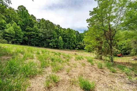 9999 Morgan Branch Road Weaverville NC 28787