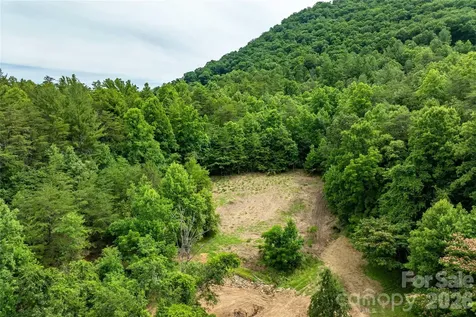 9999 Morgan Branch Road Weaverville NC 28787