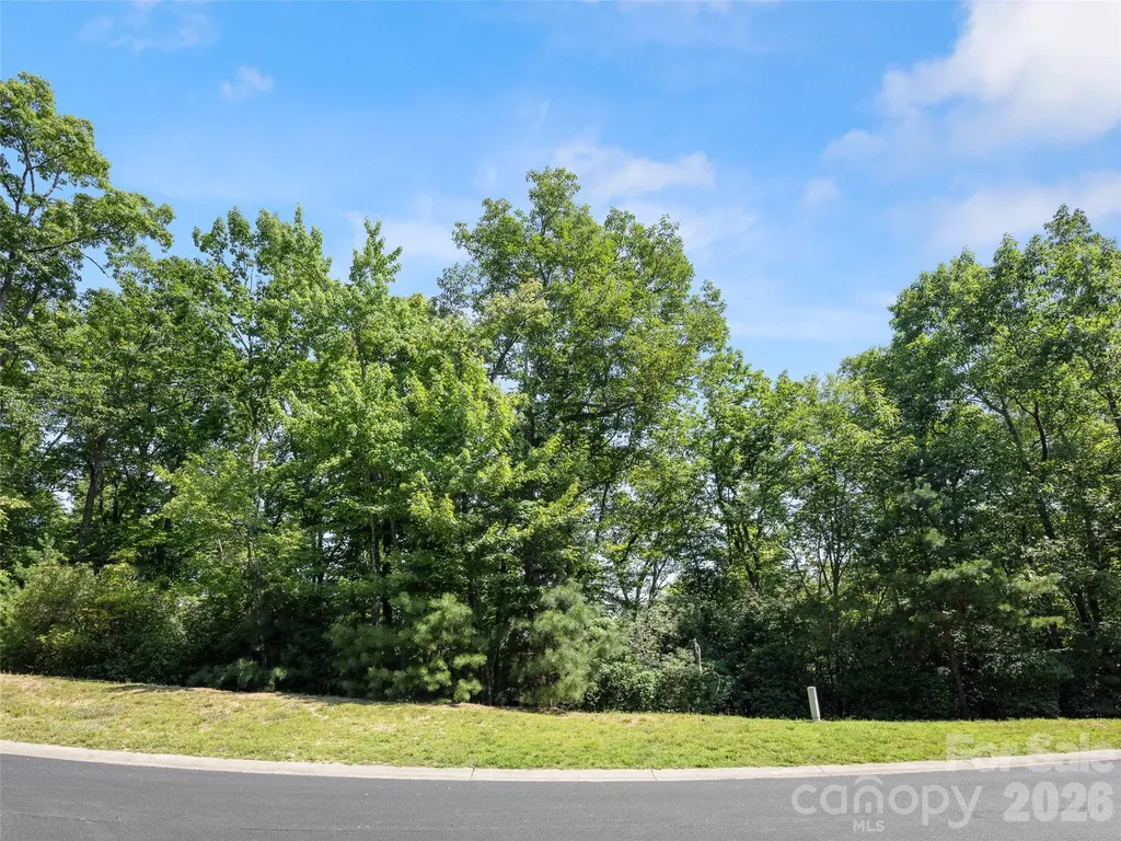 99999 Shining Rock Path Horse Shoe NC 28742
