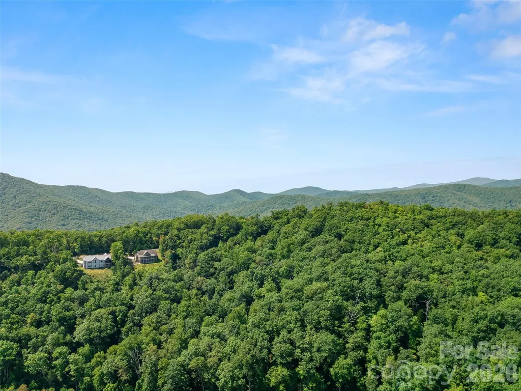 99999 Shining Rock Path Horse Shoe NC 28742