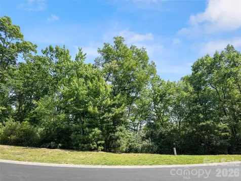 99999 Shining Rock Path Horse Shoe NC 28742