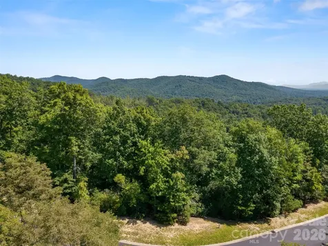 99999 Shining Rock Path Horse Shoe NC 28742