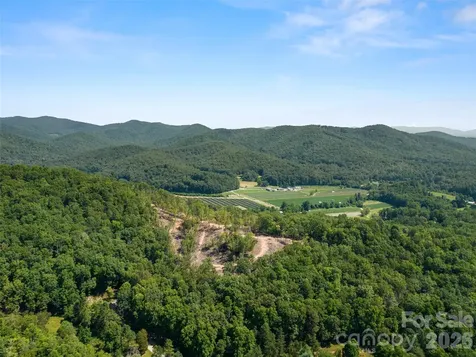 99999 Shining Rock Path Horse Shoe NC 28742