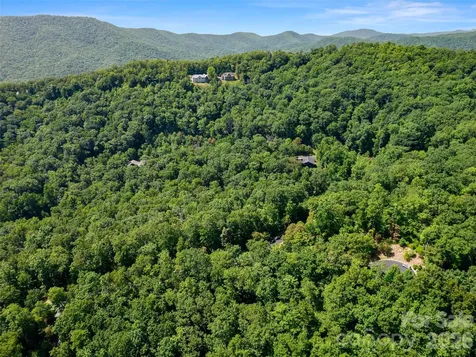 99999 Shining Rock Path Horse Shoe NC 28742