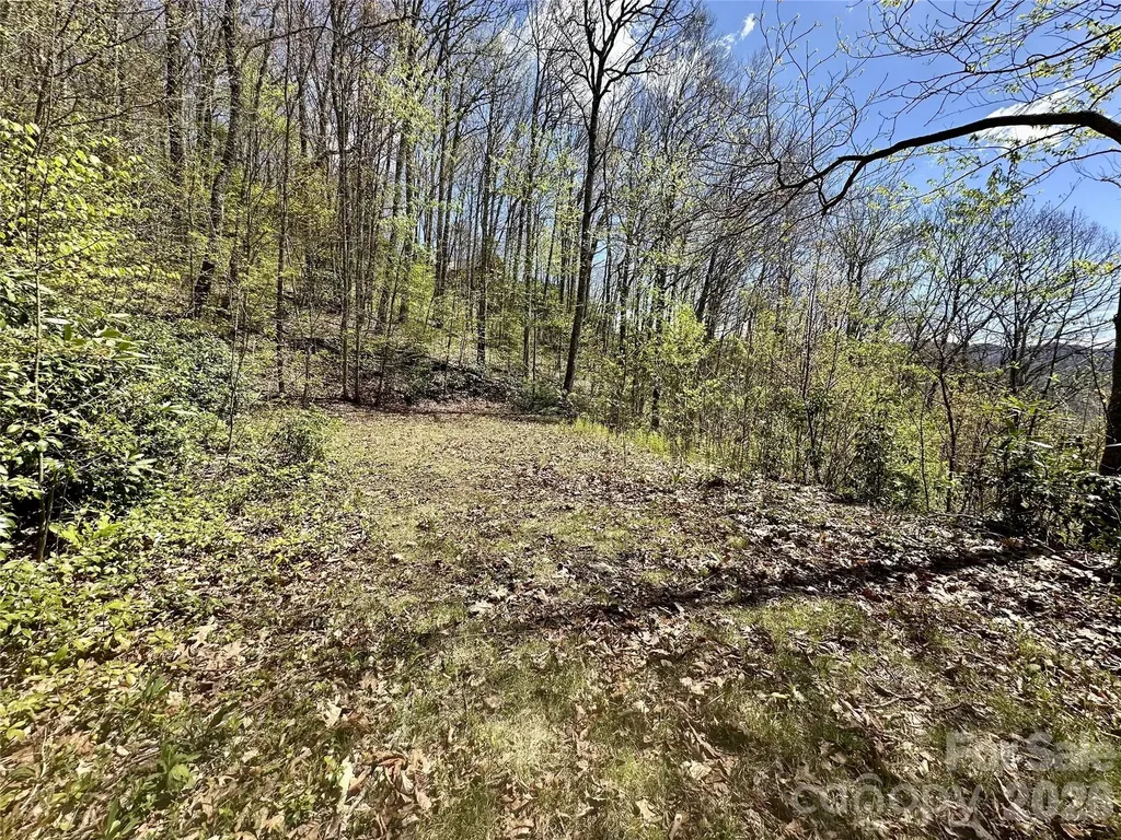 00 Aquina Mountain Maggie Valley NC 28751