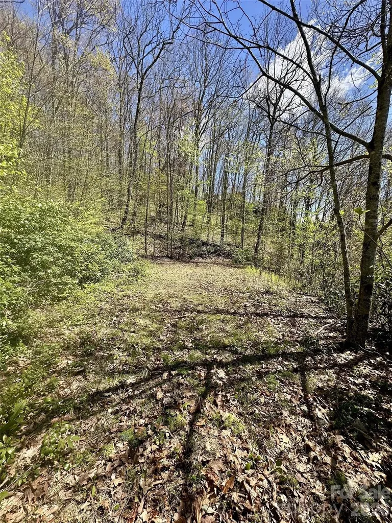 00 Aquina Mountain Maggie Valley NC 28751